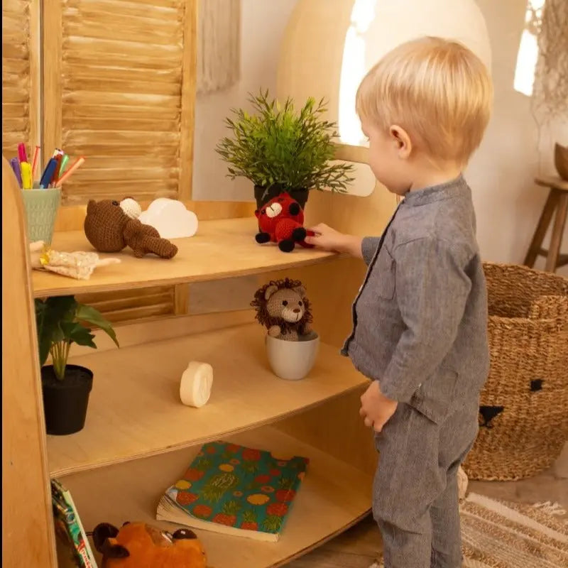 Montessori Play & Display Shelf